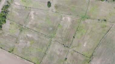 Yoğun bir ormanın içinden geçen kırsal bir yolun hava aracı görüntüsü. Ağaçlarla, yeşilliklerle ve huzurlu manzaralarla dolu doğal bir manzara. Seyahat, doğa ve kırsal kesim kavramı