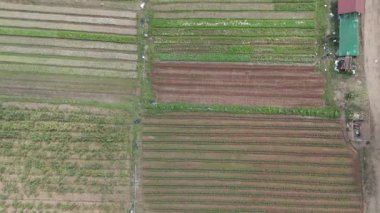 Çamurlu bir arazide tarla süren bir traktörün insansız hava aracı görüntüsü tarım sürecinde tarıma hazırlanıyor.