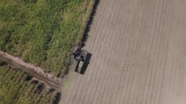 Traktörlerin ve kamyonların şeker kamışını şeker yapmak için çiftlikte topladıkları drone görüntüleri. Yanmadan çiftçilik yapmak