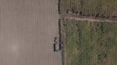 Traktörlerin ve kamyonların şeker kamışını şeker yapmak için çiftlikte topladıkları drone görüntüleri. Yanmadan çiftçilik yapmak