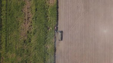 Traktörlerin ve kamyonların şeker kamışını şeker yapmak için çiftlikte topladıkları drone görüntüleri. Yanmadan çiftçilik yapmak