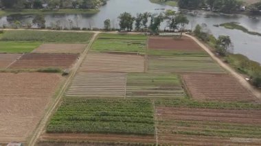 İnsansız hava aracı, Tayland 'daki tarım arazileri ve kırsal kırsal alanlara, doğal ürünlere ve barışçıl tarım arazilerine hava görüntüsü verdi.