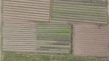 İnsansız hava aracı, Tayland 'daki tarım arazileri ve kırsal kırsal alanlara, doğal ürünlere ve barışçıl tarım arazilerine hava görüntüsü verdi.