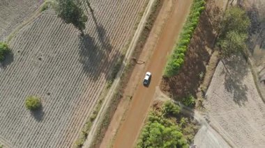 Kırsal bir yolda kırsal araziden geçen bir kamyonetin hava aracı görüntüsü. Doğada seyahat, ulaşım ve özgürlüğün manzaralı görüntüsü