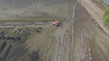 Çamurlu bir arazide tarla süren bir traktörün insansız hava aracı görüntüsü tarım sürecinde tarıma hazırlanıyor.