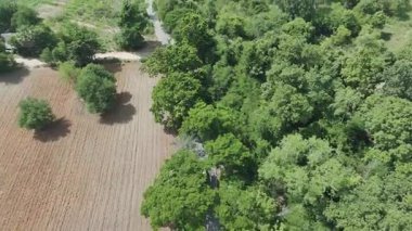 Drone 'un hava görüntüsü kurak mevsimde kırsal alanda terk edilmiş kamyonet yolu manzarası.