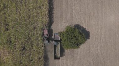 Kırsal bölgedeki tarım çiftliğinin manzaralı manzarası