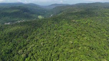 Tayland ormanının insansız hava aracı görüntüleri. Mavi gökyüzünün altında yemyeşil ağaçları olan yoğun tropikal yağmur ormanlarının havadan görünüşü. Güneydoğu Asya 'daki doğal orman manzarası