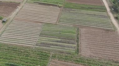 Kırsal bölgedeki tarım çiftliğinin manzaralı manzarası