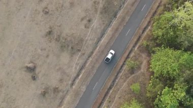 Kırsal bir yolda kırsal araziden geçen bir kamyonetin hava aracı görüntüsü. Doğada seyahat, ulaşım ve özgürlüğün manzaralı görüntüsü