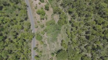 Kırsal bir yolda kırsal araziden geçen bir kamyonetin hava aracı görüntüsü. Doğada seyahat, ulaşım ve özgürlüğün manzaralı görüntüsü