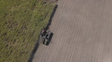 Traktörlerin ve kamyonların şeker kamışını şeker yapmak için çiftlikte topladıkları drone görüntüleri. Yanmadan çiftçilik yapmak