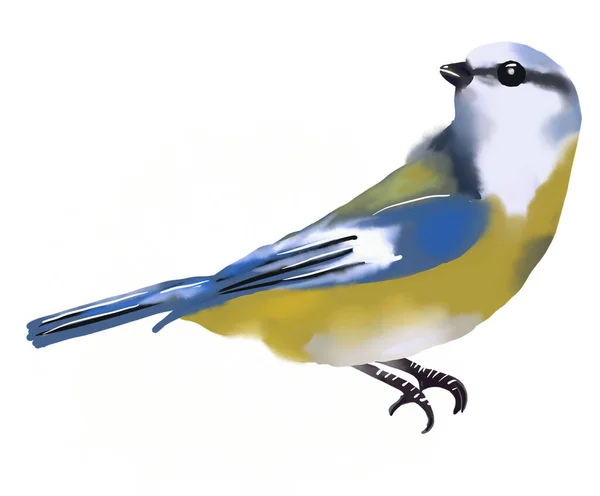 Blue Tit Bird Watercolor Style Isolate White Background — Stockfoto
