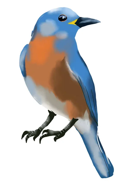 Niebieski Ptak Akwarela Ręcznie Rysowane Styl Izolacja Białym Tle — Zdjęcie stockowe