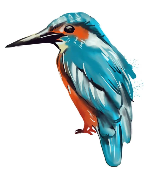Kingfisher Acuarela Estilo Dibujado Mano Aislar Fondo Blanco —  Fotos de Stock