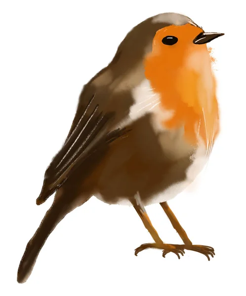 Robin Fågel Akvarell Stil Isolera Vit Bakgrund — Stockfoto