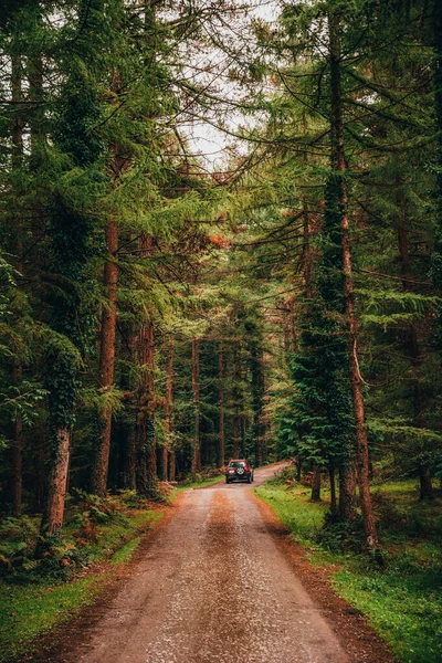 Coche Todoterreno Que Viaja Por Camino Tierra Través Exuberante Bosque —  Fotos de Stock