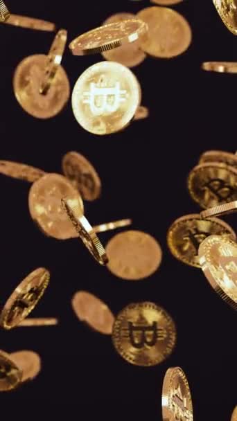 현실적인 슬로우 애니메이션에서 어두운 배경에서 위에서 떨어지는 동전의 무리의 비디오 — 비디오