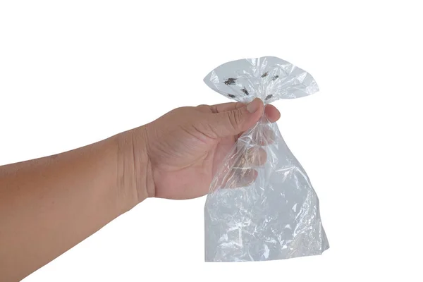 Человек Ловит Мух Пластиковыми Пакетами Clipping Путь — стоковое фото