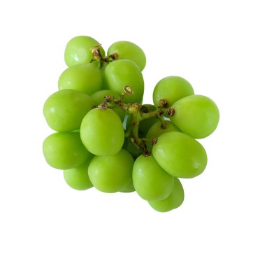 Taze sulu yeşil üzümler beyazda izole edilmiş.