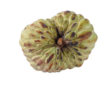 Beyaz arkaplanda yalıtılmış kremalı elma. Egzotik tropikal Tayland meyvesi..