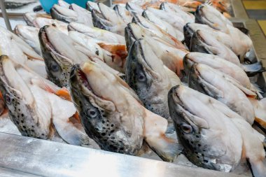 Süpermarkette buzda taze somon başı.