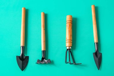 Renkli arka planda bahçıvanlık araçları. Üst görünüm,