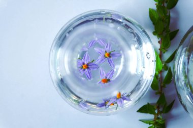 Test tüpü üzerinde bitki bilimi laboratuarı araştırması. Tıp biyoteknolojisi. .