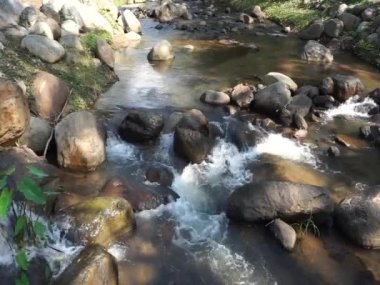 natural stream in the forest with rocky, water flow to impat a rock in the beck