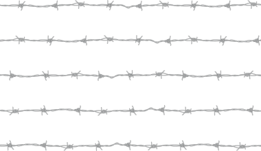 Şeffaf arka planda izole edilmiş dikenli teller, insan yok. Arkaplan için dikenli tel grafiklerinin çizimi.