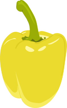 Sarı biberin düz dizaynı, saydam arkaplanda sarı çan biberi çizimi. Yeşil saplı taze sarı dolma biber. Gıda ile ilgili tasarımlar, tarif grafikleri veya sağlıklı yaşam tarzı projeleri için mükemmel.. 