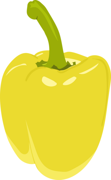 Sarı biberin düz dizaynı, saydam arkaplanda sarı çan biberi çizimi. Yeşil saplı taze sarı dolma biber. Gıda ile ilgili tasarımlar, tarif grafikleri veya sağlıklı yaşam tarzı projeleri için mükemmel.. 