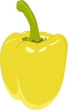 Sarı biber düz dizaynının vektör çizimi, Beyaz Arkaplan Üzerine Sarı Çan Biber Çizimi 