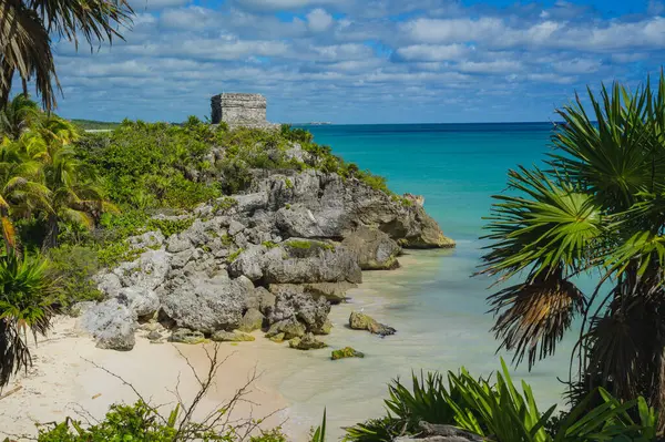 Tulum, Meksika harabeleri ve Quintana Roo 'daki sakin Karayip Denizi' ne bakan Riviera Maya olarak da bilinen bir palmiye ağacı. Meksika ormanlarında mavi deniz ve bulutlu gökyüzü. Seyahat ve turizm.
