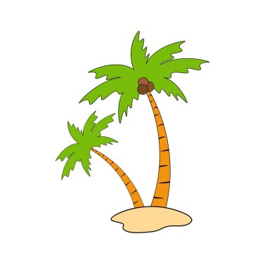 Beach coconut tree, seaside palm tree, coconut tree or island palm tree.