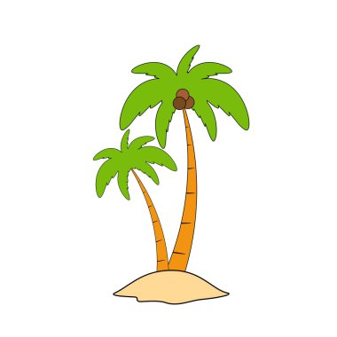 Beach coconut tree, seaside palm tree, coconut tree or island palm tree.