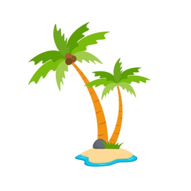 Beach coconut tree, seaside palm tree, coconut tree or island palm tree.