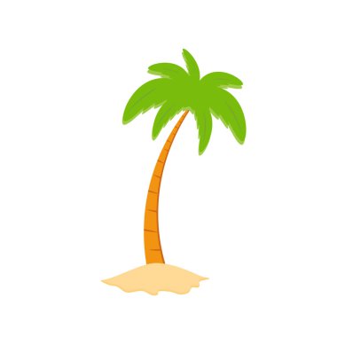 Beach coconut tree, seaside palm tree, coconut tree or island palm tree.