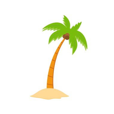 Beach coconut tree, seaside palm tree, coconut tree or island palm tree.