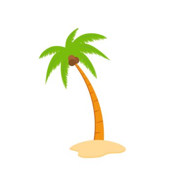 Beach coconut tree, seaside palm tree, coconut tree or island palm tree.