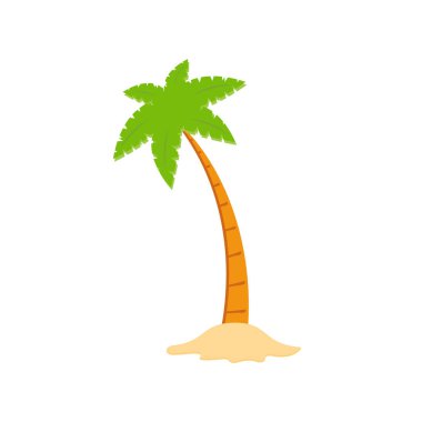 Beach coconut tree, seaside palm tree, coconut tree or island palm tree.