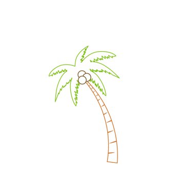 Beach coconut tree, seaside palm tree, coconut tree or island palm tree.