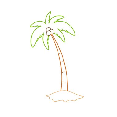 Beach coconut tree, seaside palm tree, coconut tree or island palm tree.