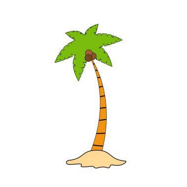 Beach coconut tree, seaside palm tree, coconut tree or island palm tree.