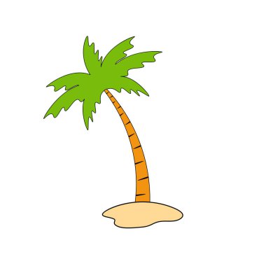 Beach coconut tree, seaside palm tree, coconut tree or island palm tree.