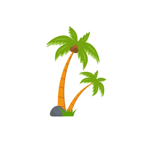 Strand Kokospalme Palme Meer Kokospalme Oder Inselpalme — Stockvektor