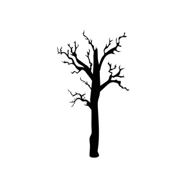 Cadılar Bayramı sezonunda korkunç ve ürkütücü perili ağaç.