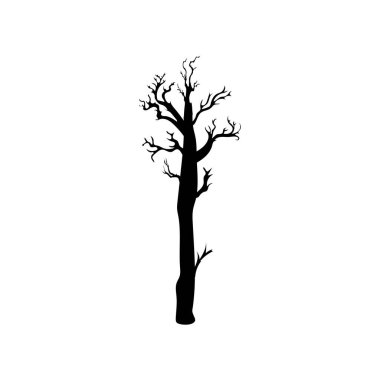 Cadılar Bayramı sezonunda korkunç ve ürkütücü perili ağaç.