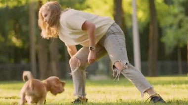 İngiliz Cocker Spaniel Dog, bayan sahibi tarafından tutulan oyuncakla oynuyor. Park Çimlerinde Evcil Köpeğiyle Oynayan Genç Kadın