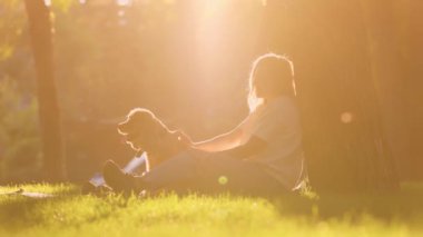 Genç bir kadın parktaki çimlerin yanında köpeğiyle oturur ve onu okşar. İngiliz Cocker Spaniel 'i ile Dışarıda Güneş Işığında Yürüyen Kız